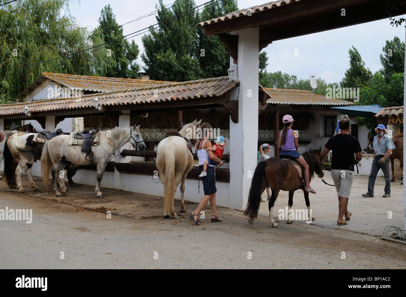 Horse riding in France Ponies and stabling at Portiranges near Beziers