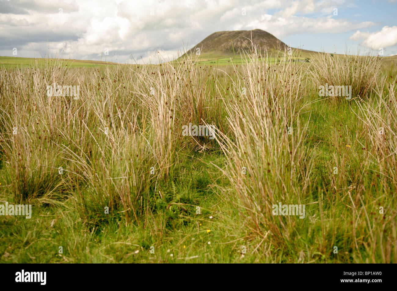Slemish Mountain/Hill, County Antrim, Northern Ireland, a plug of