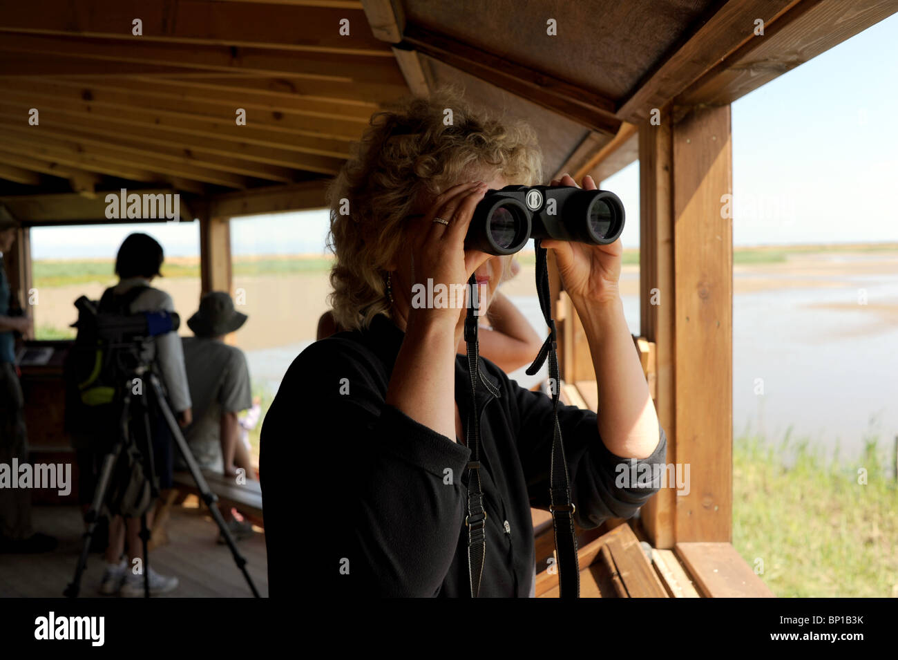 Female looking through binoculars inside a hide at Titchwell Marsh RSPB reserve Norfolk coast UK Stock Photo