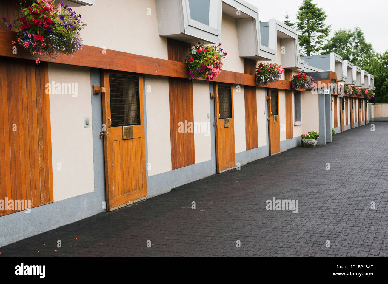 Stallion stables at the Irish National Stud, Kildare Stock Photo Alamy