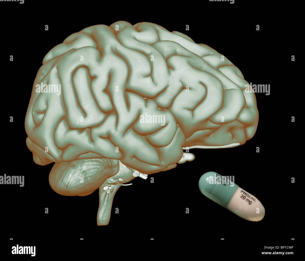 prozac (fluoxetine) pills 20 mg capsules and the brain Stock Photo