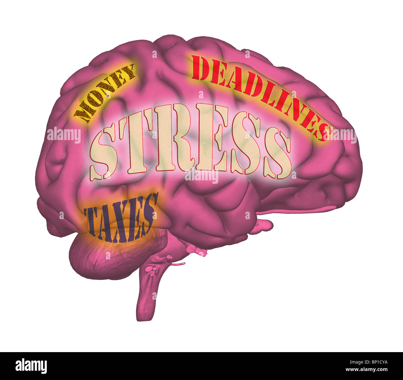 illustration of the human brain, and the concept of stress and anxiety Stock Photo