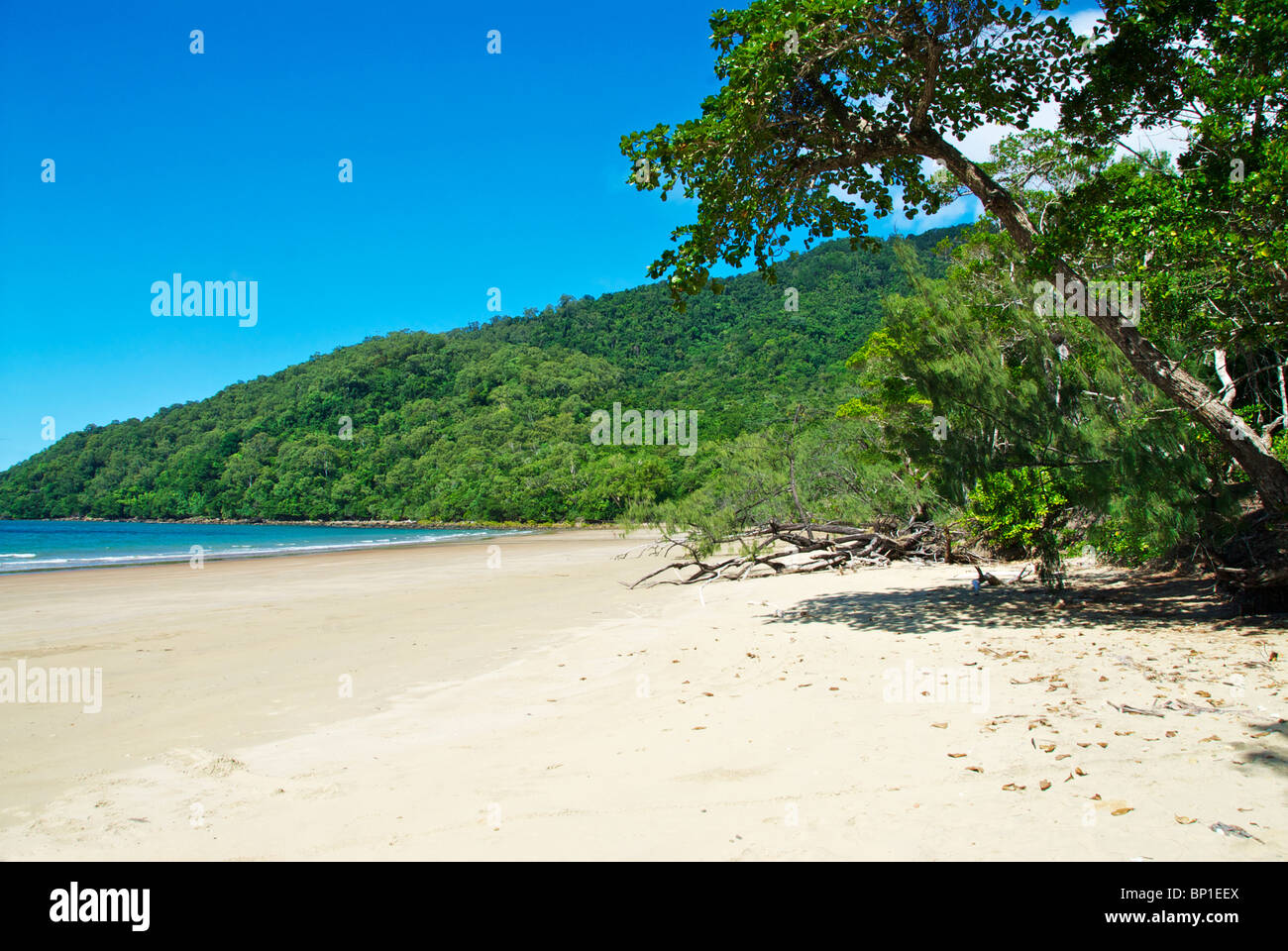 Daintree cow bay hires stock photography and images Alamy