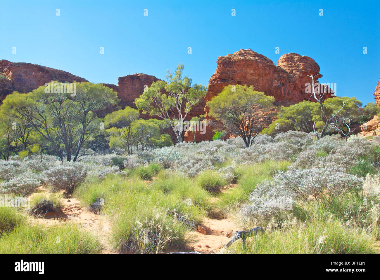 Flora fauna hi-res stock photography and images - Alamy