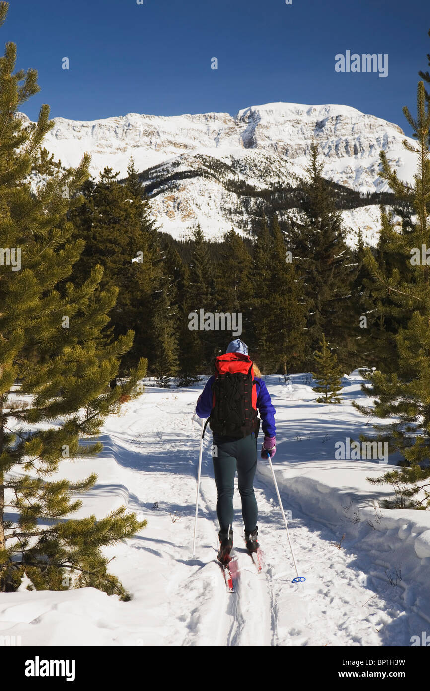 Louise cross hires stock photography and images Alamy