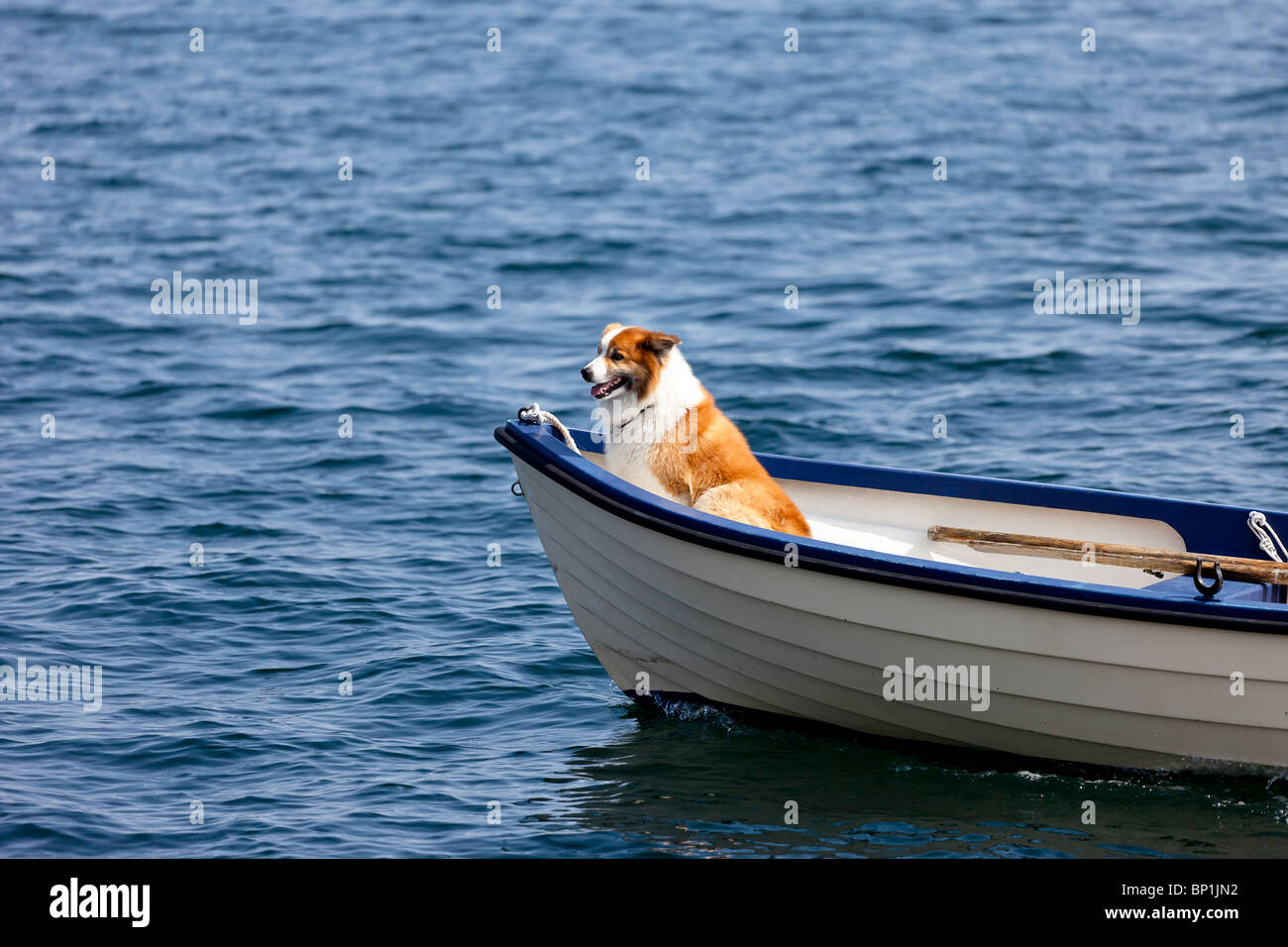 Small white boat in calm hi res stock photography and images Alamy