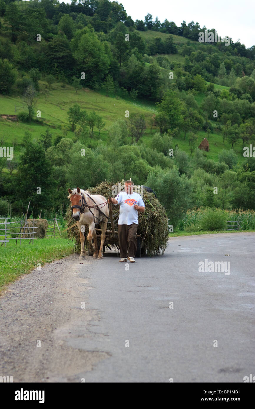 Villager coming back home from the field's work after a long hard day. Shot in Poienile Izei (Maramures county), Romania Stock Photo