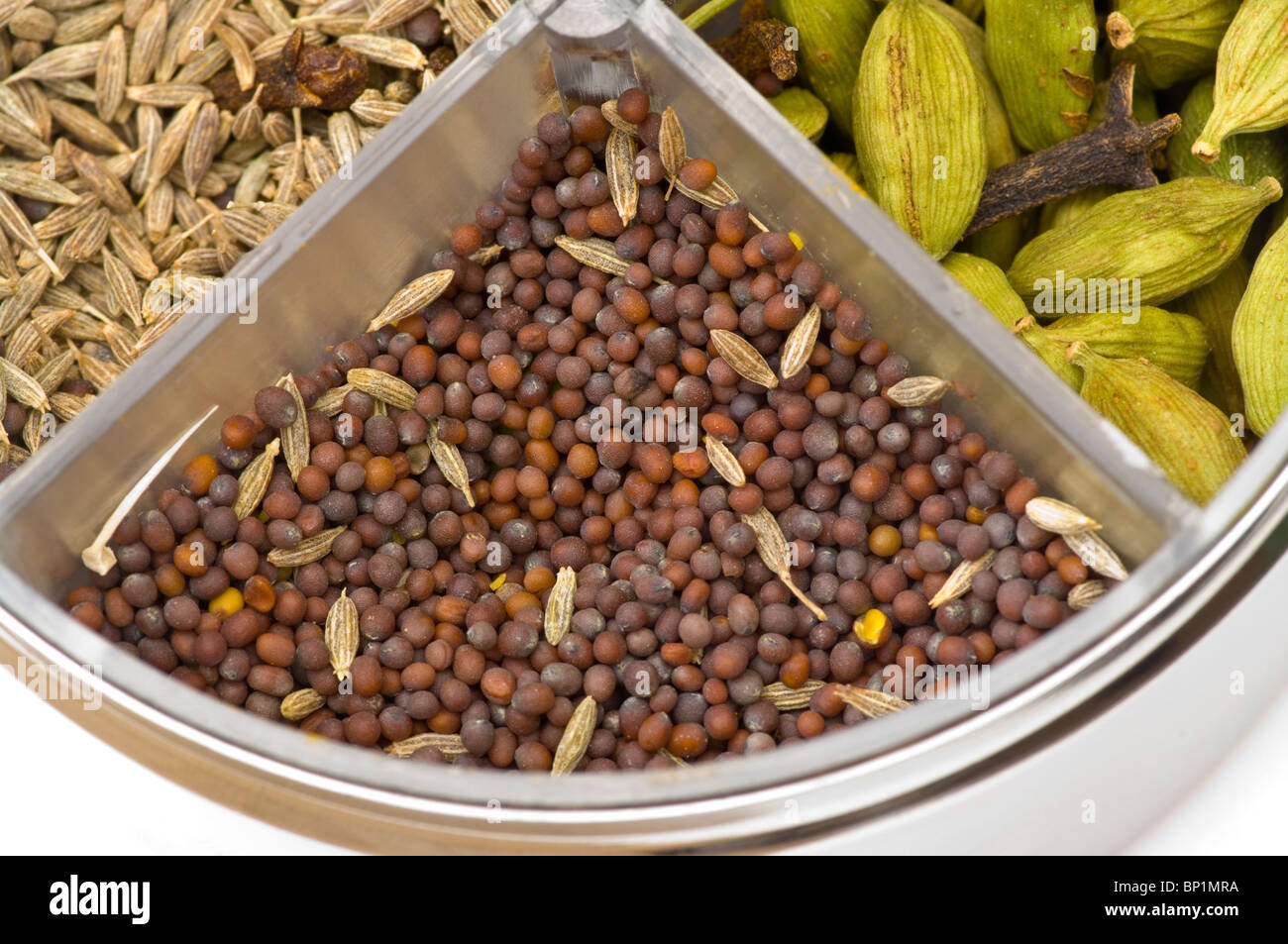 Mustard Seeds Stock Photo