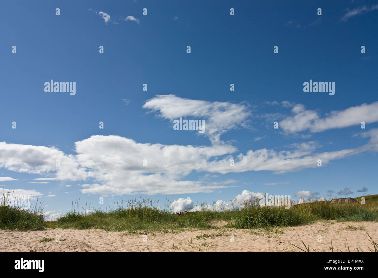 Sky background of vivid blue sky and white fluffy clouds Stock Photo ...