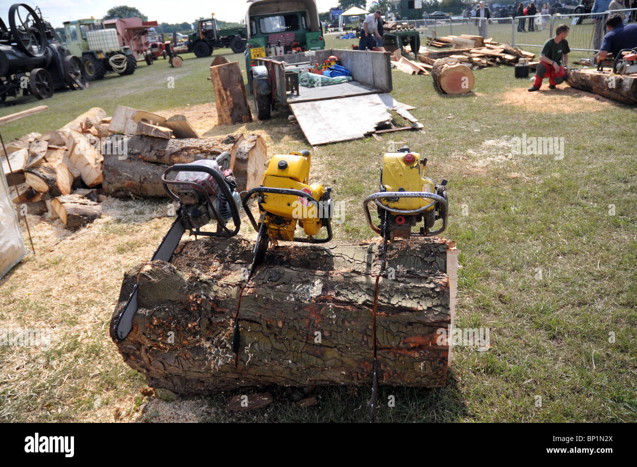 a display of commercial chainsaws safely placed in a large trunk of wood at the kemble steam rally 2010 Stock Photo
