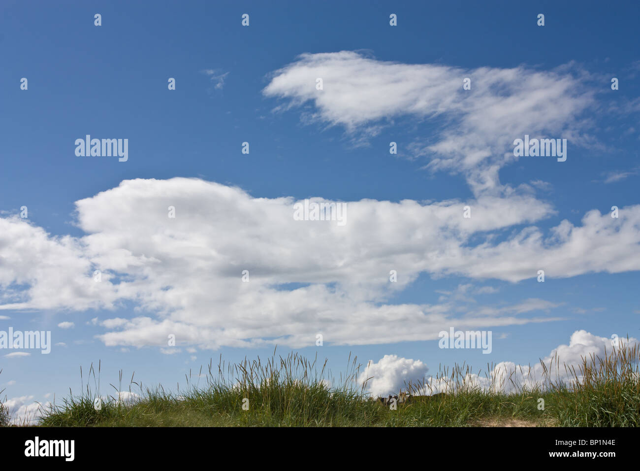 Sky background of vivid blue sky and white fluffy clouds Stock Photo ...