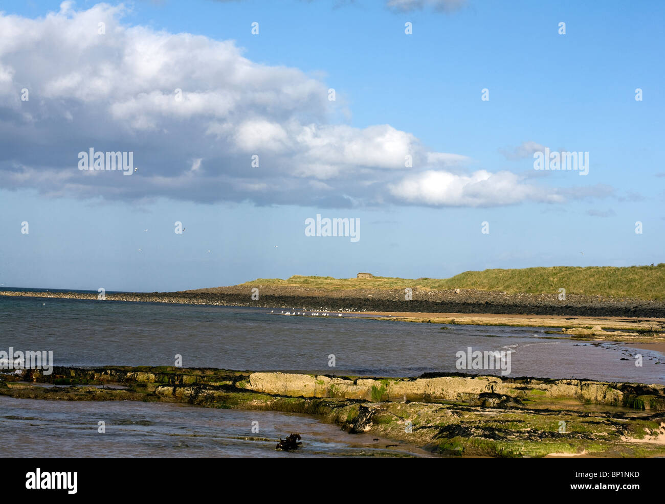 The beach at Embleton Bay Embleton Northumberland England Stock Photo