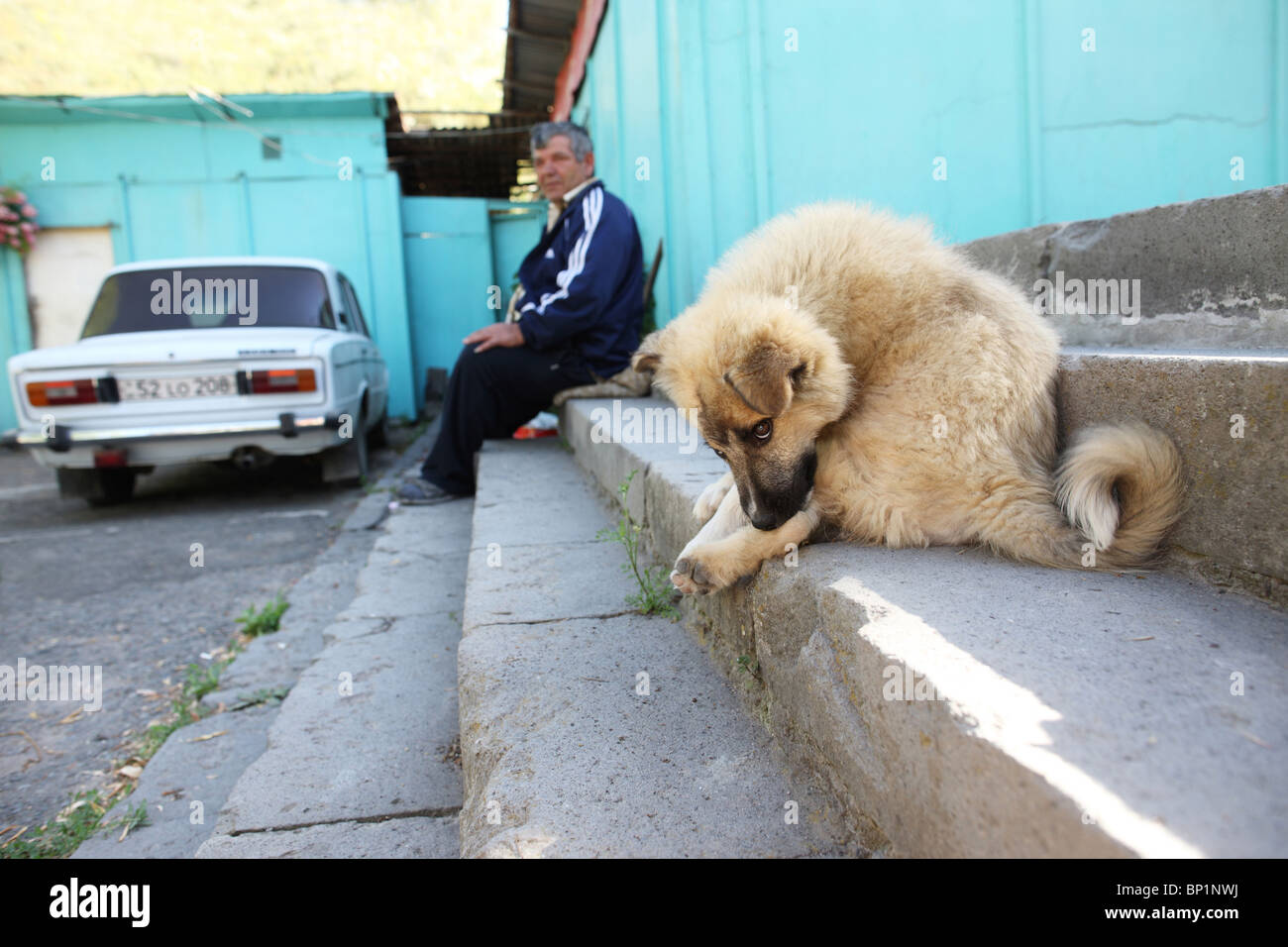 Armenia, 20100628, Everyday scene, man with a dog,Armenia © Gerhard Leber Stock Photo