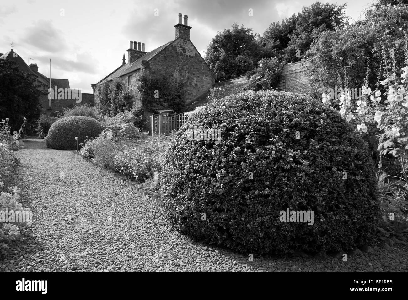 Priorwood Gardens Melrose - National Trust for Scotland dried flower and herb gardens Stock Photo