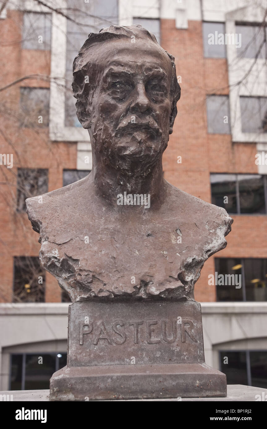 Louis Pasteur statue, St Denis Street, rue Saint-Denis, Quartier Latin, Latin Quarter, Montreal, Quebec, Canada Stock Photo