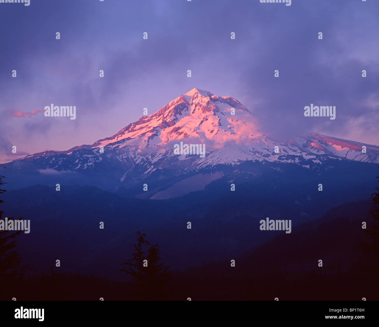 Sunset glow on southwest side of Mt. Hood and drifting clouds, Mt. Hood