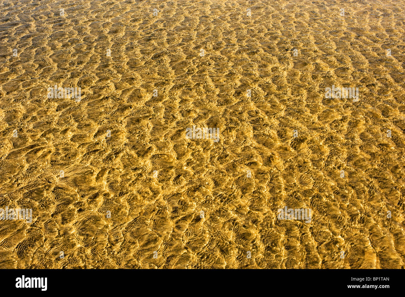 Ripples in water on a beach. Photo by Gordon Scammell Stock Photo