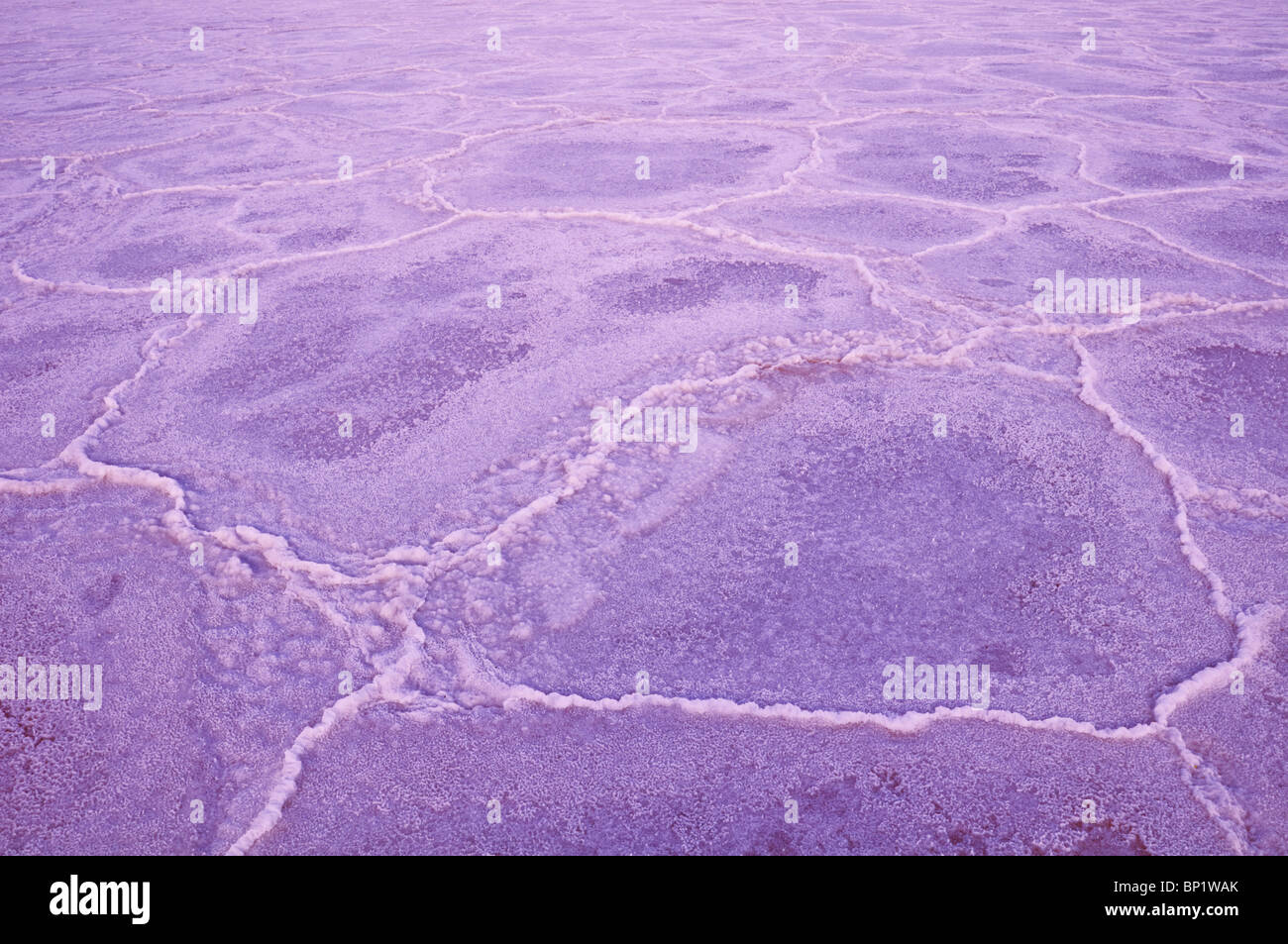 Salt pan patterns, Death Valley National Park. California Stock Photo ...