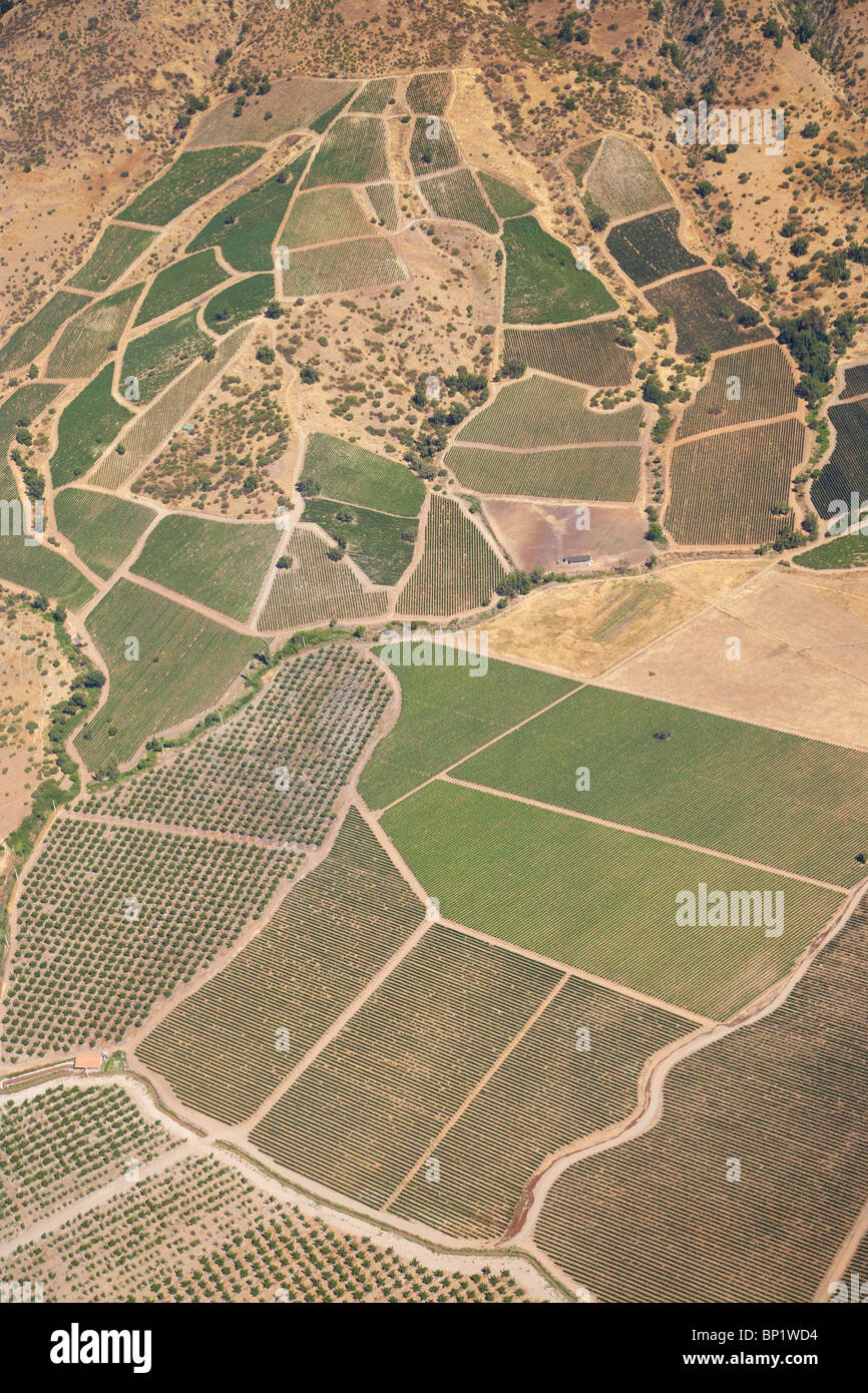 Vineyards and Orchards near Santiago, Chile, South America - aerial Stock Photo