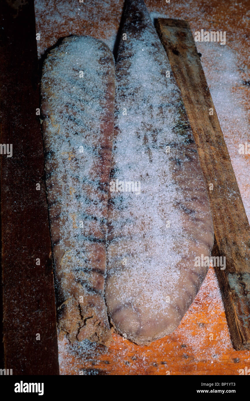 Bottarga of Tuna Fish Roe, Sardinia, Italy Stock Photo Alamy