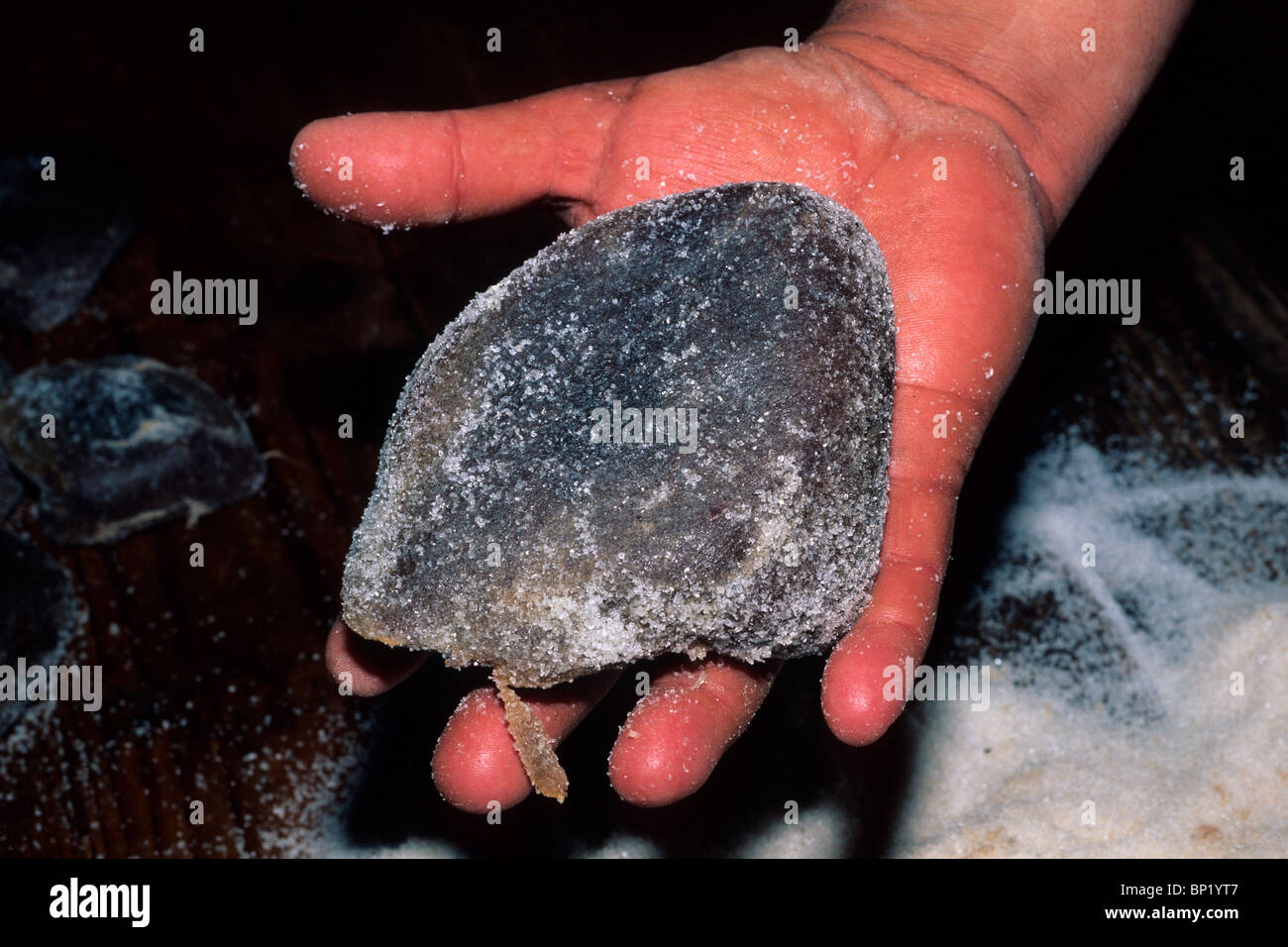 Delicacy Salted Tuna Heart, Sardinia, Italy Stock Photo Alamy