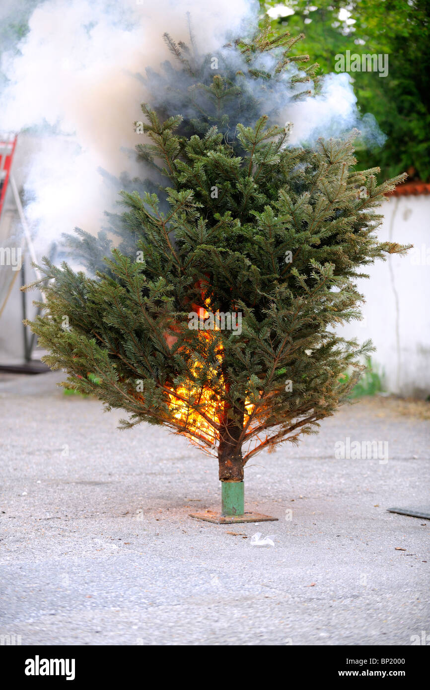 Burning Christmas Tree Sequence. From the Beginning 'till the End. Stock Photo