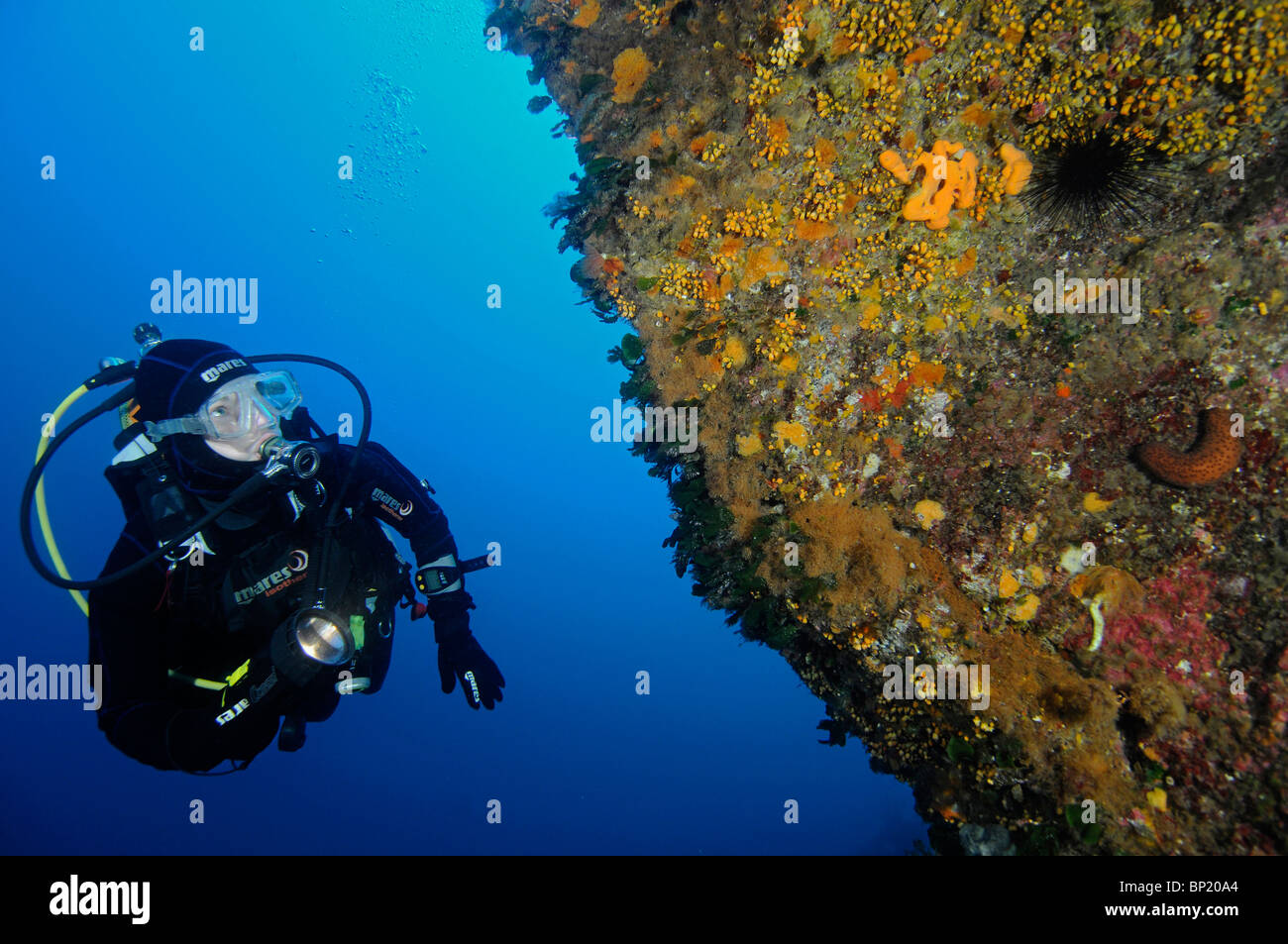Scuba Diver on Wall, Ustica Island, Sizilia, Italy Stock Photo