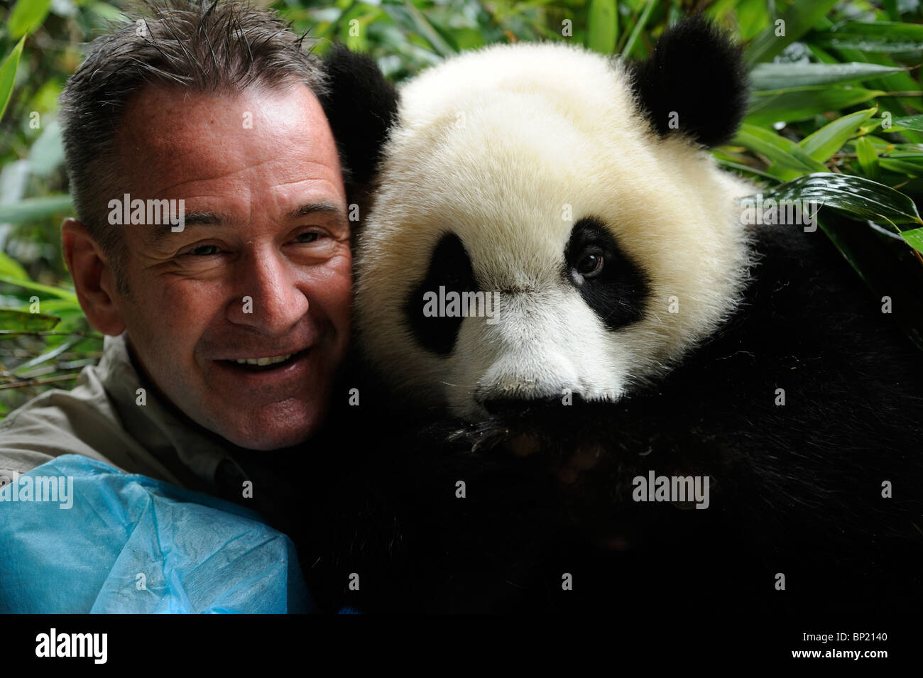 Wildlife presenter Nigel Marven poses with a one-year-old female panda called Yali at Chengdu Panda Base in Sichuan, China. 2010 Stock Photo