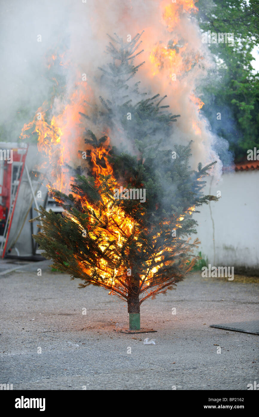 Burning christmas tree hires stock photography and images Alamy Burning Christmas Tree