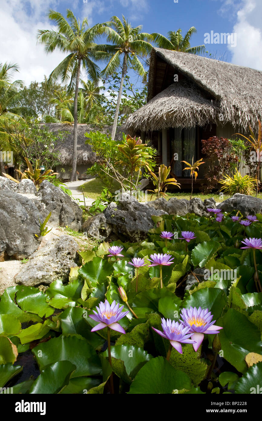 Garden at Novotel Rangiroa Lagoon Resort, Rangiroa, French Polynesia Stock Photo