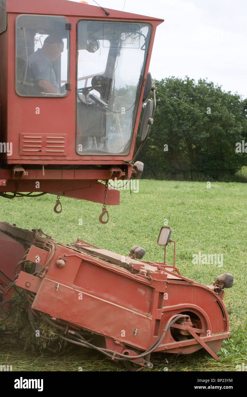 Cab front end of Pea Viner Harvester in action. Stock Photo