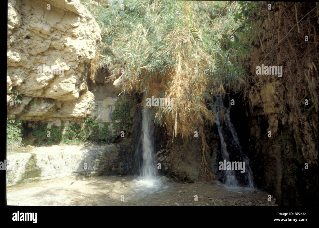 EIN GEDI - TOWN (TODAY A KIBUTZ & NATURE RESERVE) ON THE WESTERN SHORE OF THE DEAD SEA NEAR THE WILDERNESS OF JUDEA IN WHICH Stock Photo