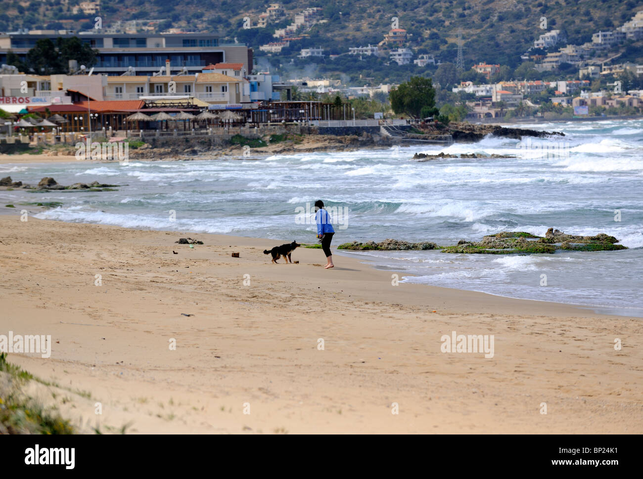Woman with Dog walking along the Beach Stock Photo