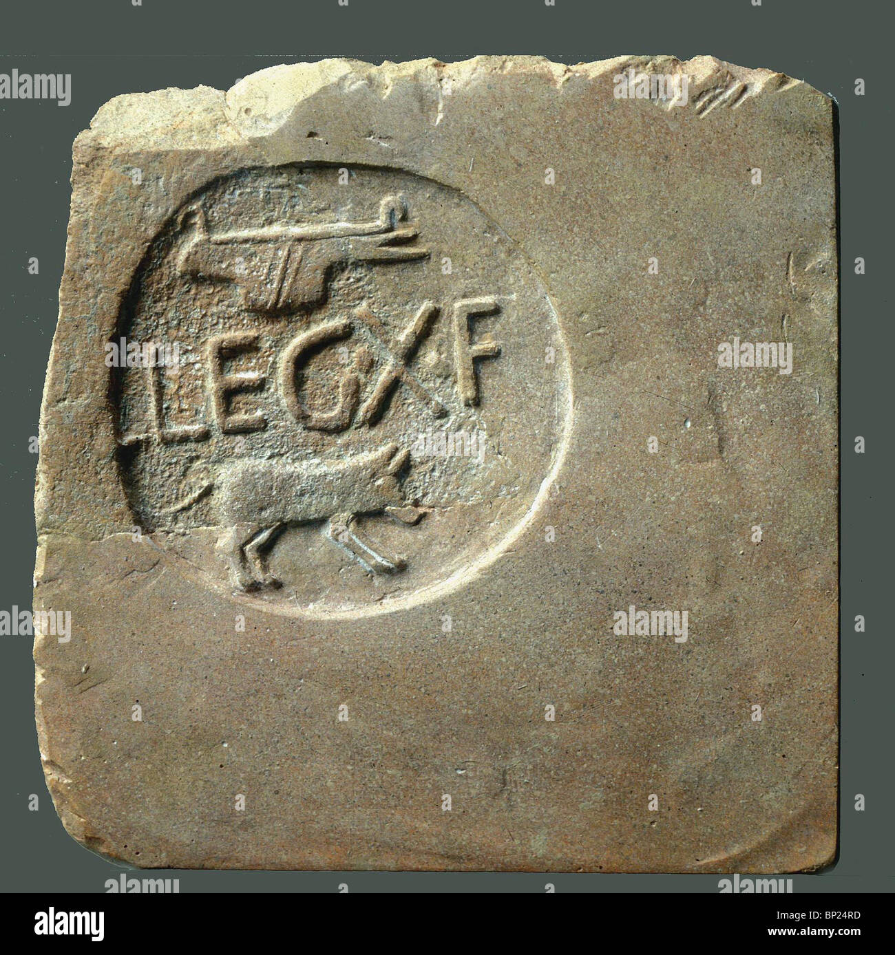 CLAY BRICKS STAMPED LEG X F(RATERNIS) WITH THE IMAGE OF A WILD PIG WHICH WAS THEIR SYMBOL. MANY OF SUCH BRICKS WERE FOUND IN Stock Photo