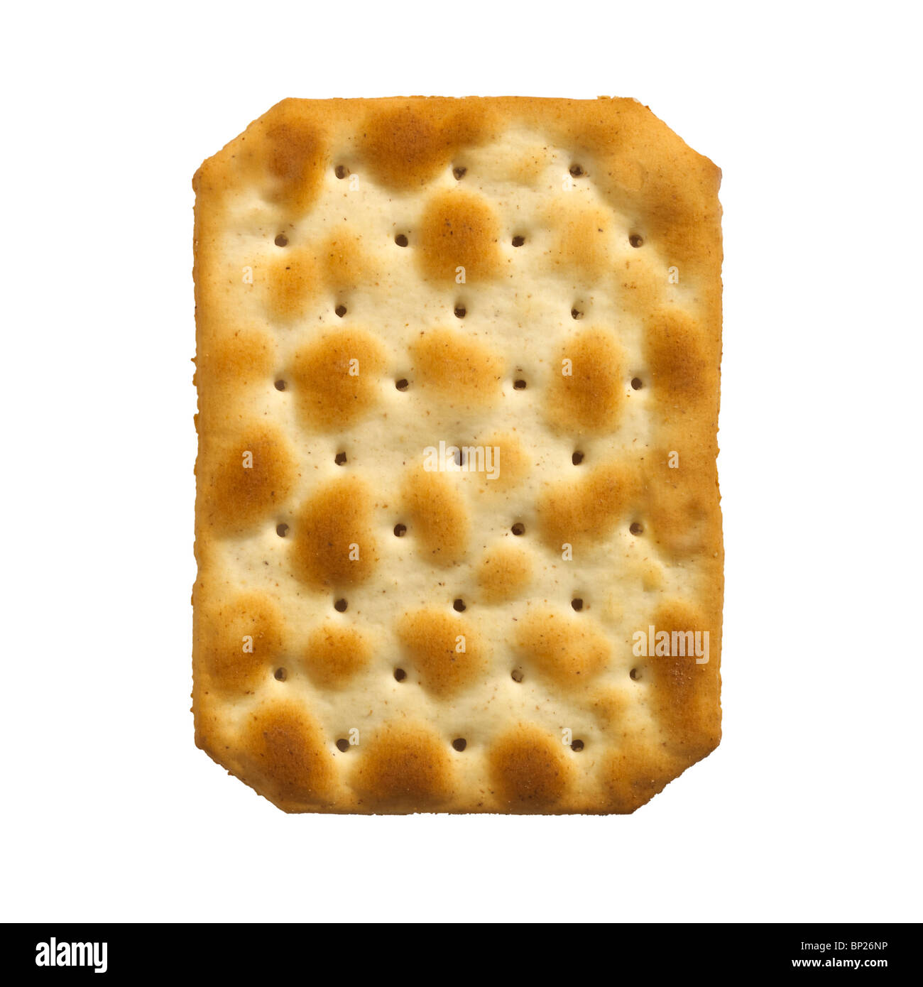 SINGLE WATER BISCUIT CHEESE CRACKER ON WHITE BACKGROUND Stock Photo Alamy