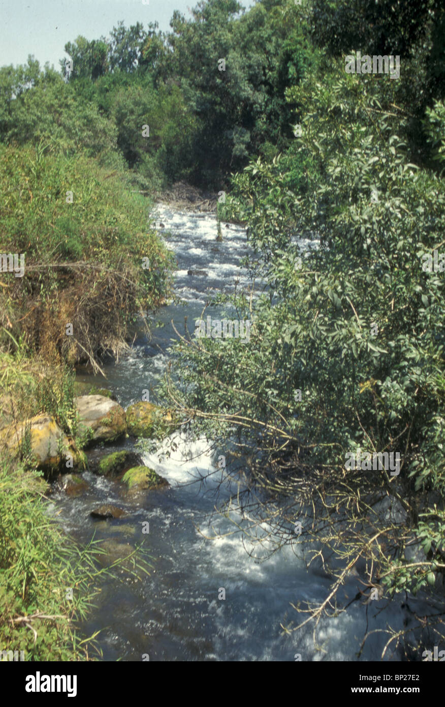 1694. THE DAN IN NORTHERN GALILEE, ONE OF THE TRIBUTARYS OF THE RIVER