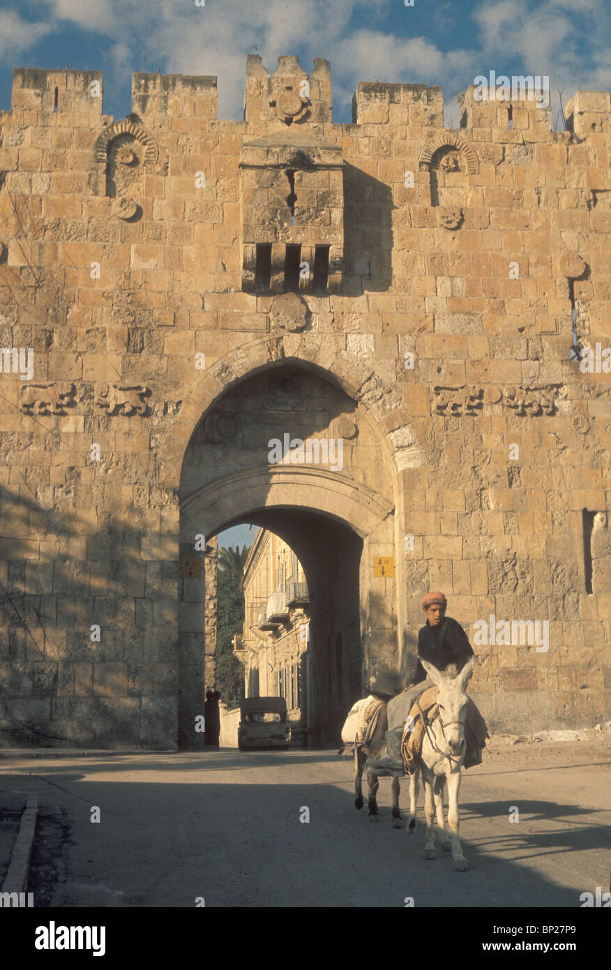 957. JERUSALEM, THE LION'S GATE, EASTERN ENTRANCE TO THE CITY, IT WAS BUILT BY SULTAN SULEIMAN THE MAGNIFICENT IN 1536 Stock Photo