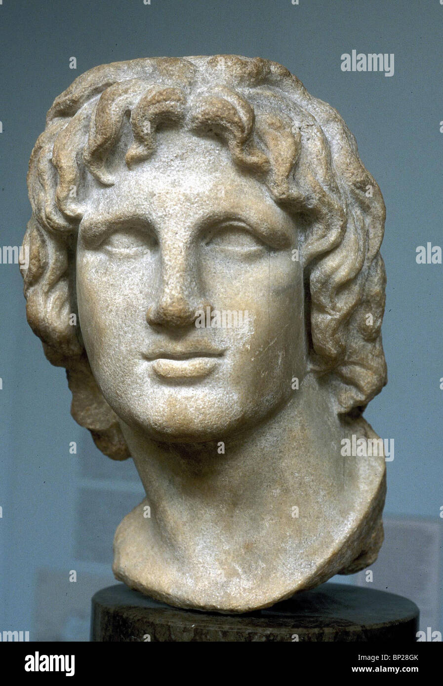 Bust of Alexander the Great, TOMASSO II, 2021