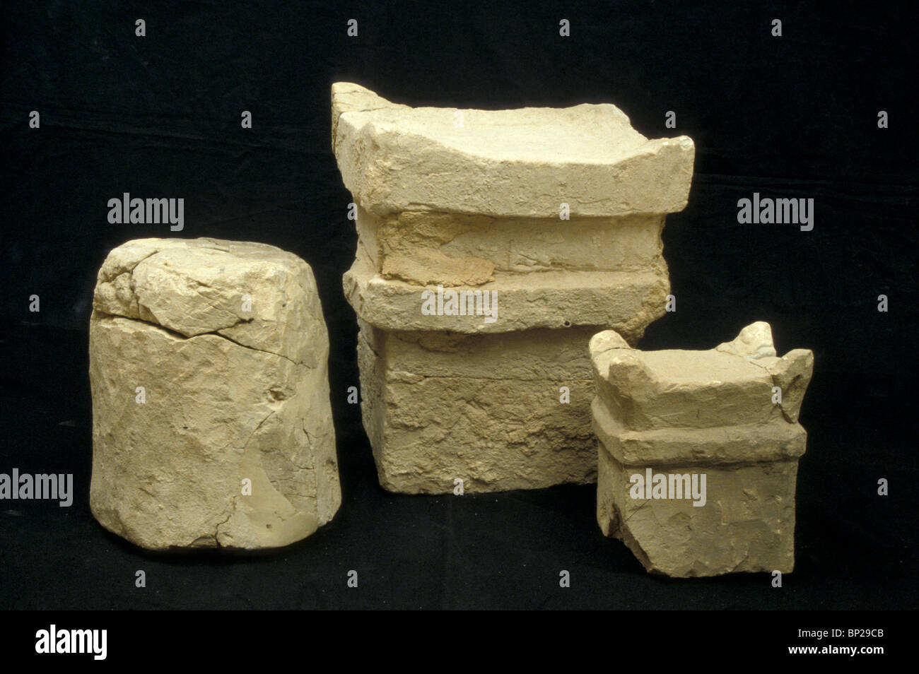 Shittim wood hi-res stock photography and images - Alamy