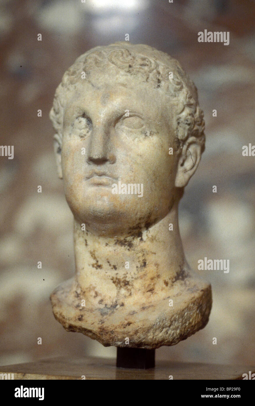 Ptolemy xiii hi-res stock photography and images - Alamy