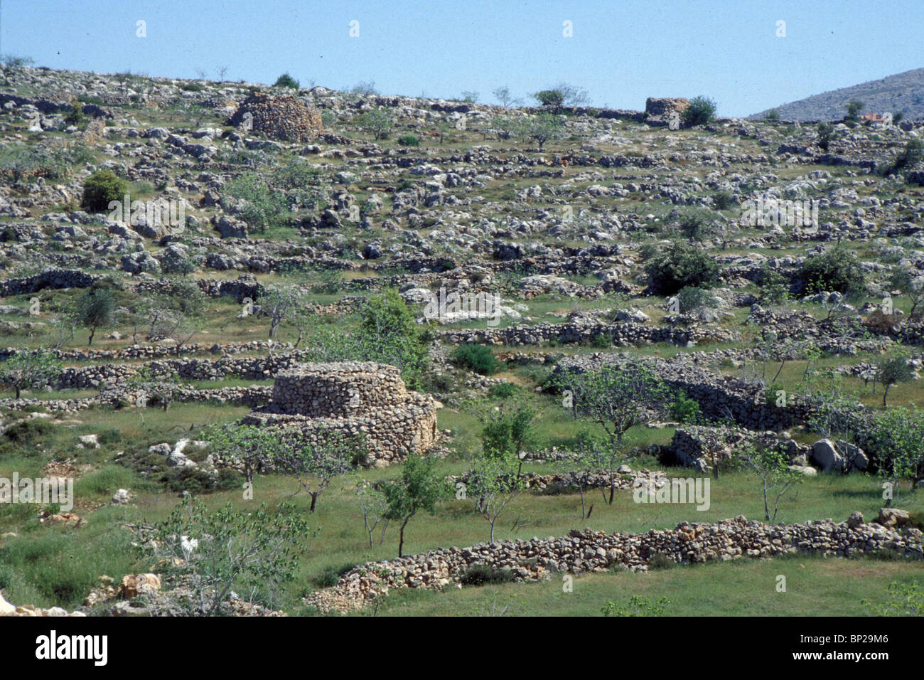 3132. SAMARIA - THE HILL-COUNTRY NORTH OF JERUSALEM, ONCE THE TERRITORY OF THE TRIBE OF BENJAMIN Stock Photo
