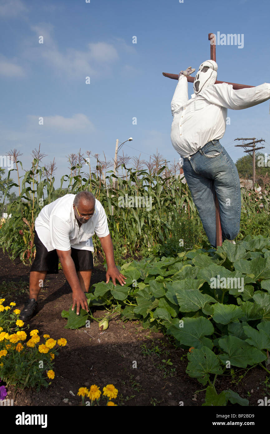 Halfway House Prison Inmates Grow Produce for Soup Kitchens Stock Photo