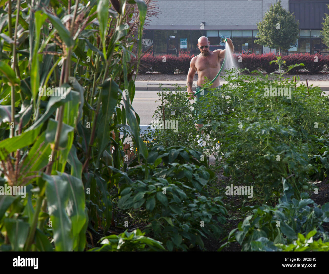 Halfway House Prison Inmates Grow Produce for Soup Kitchens Stock Photo