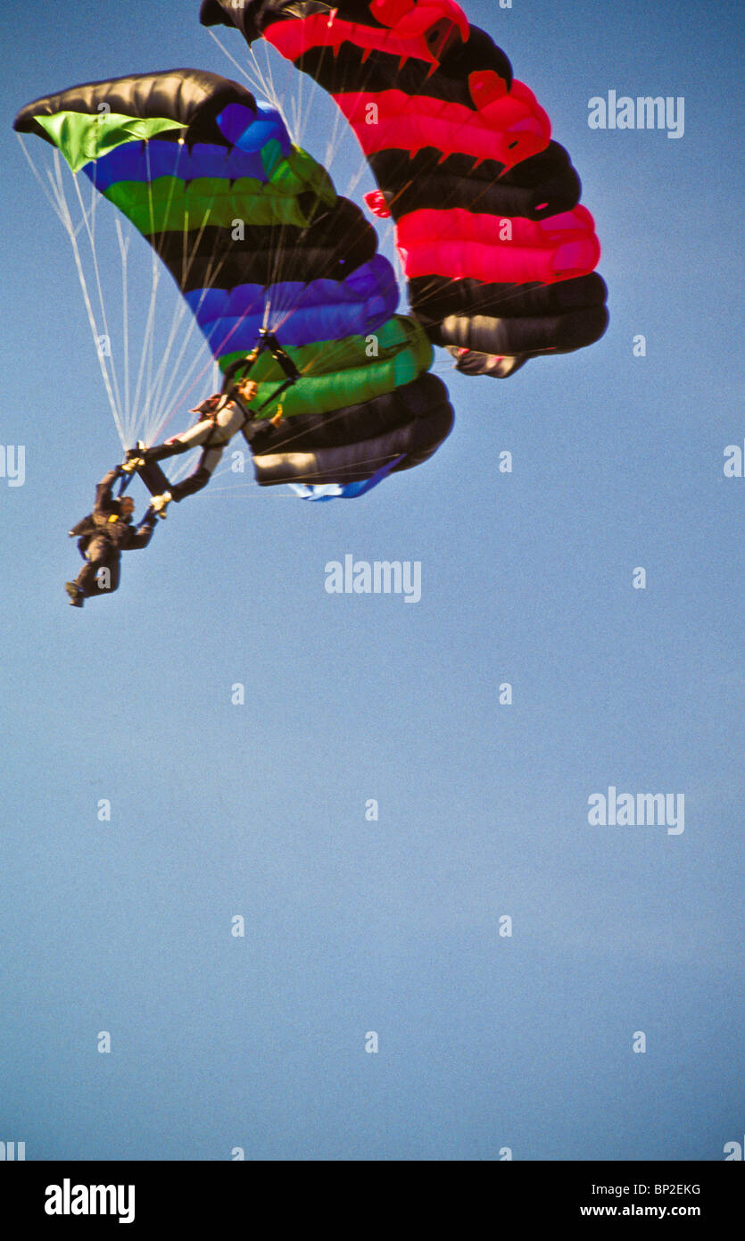 Two men in tandem parachute jump landing at airshow Stock Photo Alamy