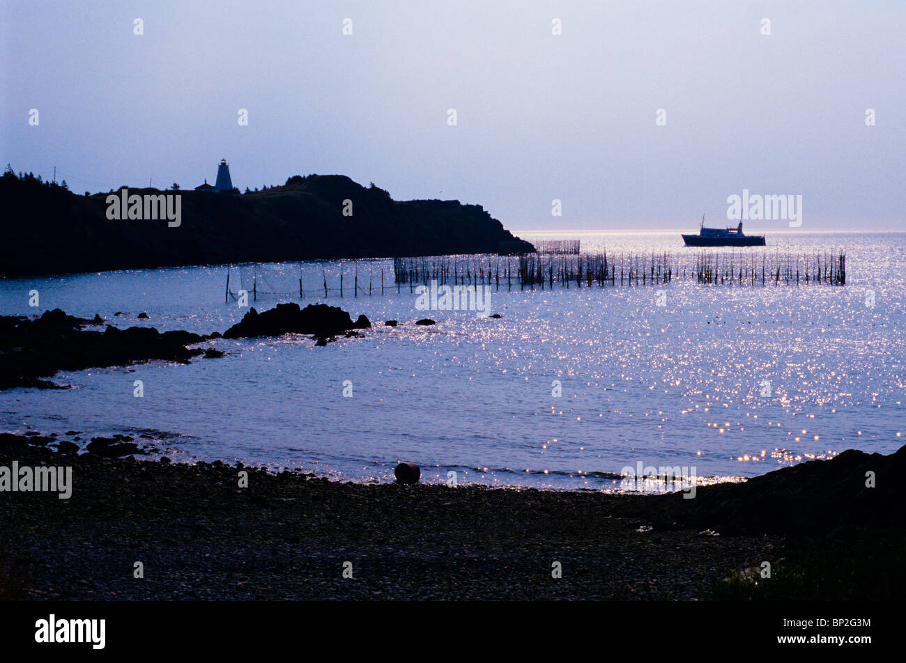 Herring weir and boat with Swallowtail lighthouse in the background. Whale Cove, Grand Manan