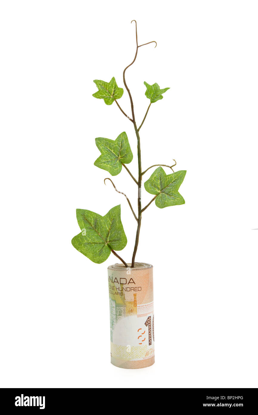 Canadian Dollar and Green Sprout, business concept Stock Photo