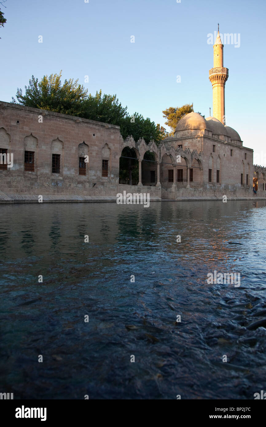 Pool of Abraham in Sanliurfa or Urfa, Turkey Stock Photo