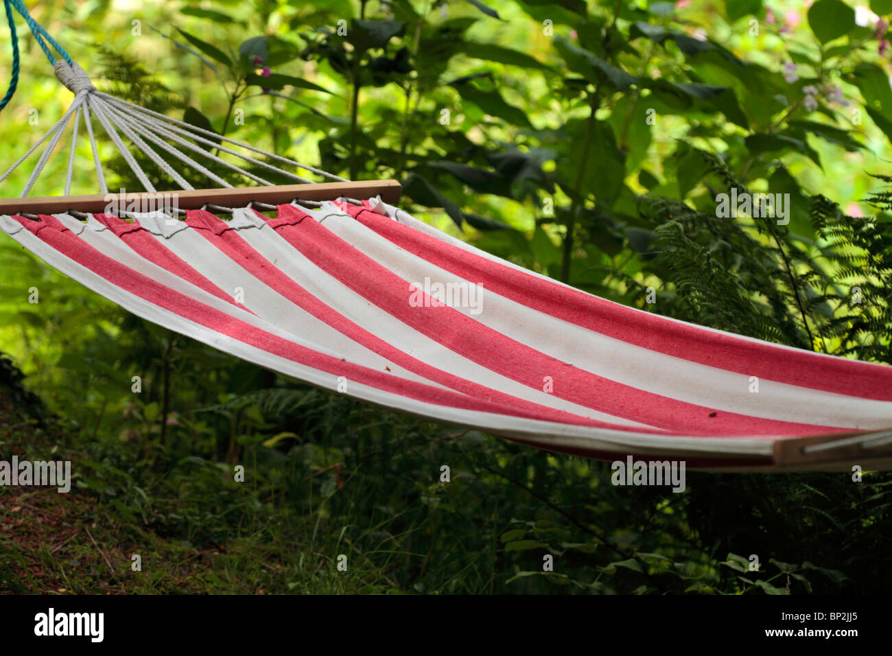 hammock Stock Photo