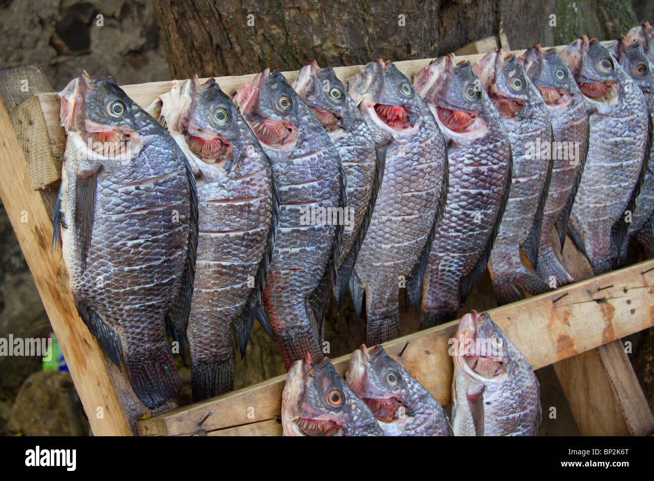 Tilapia in a fish restaurant at Victoria lake, Kisumu, Kenya Stock