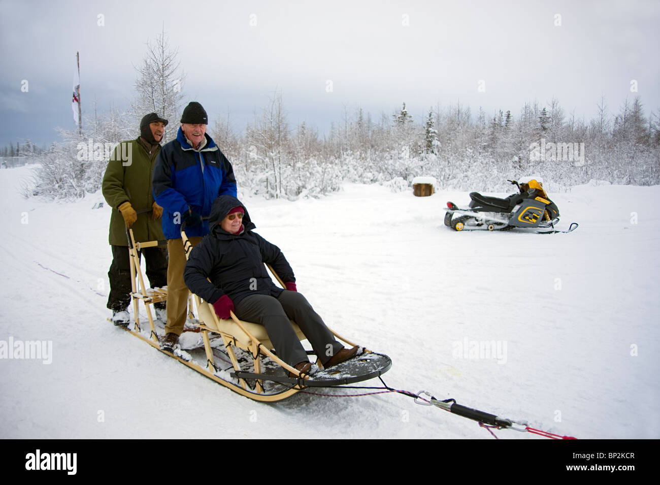 Tourists enjoying a dogsled ride at Dave Daley's place in Churchill Manitoba, Canada Stock